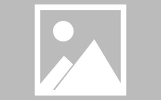 单县绥化网站搭建公司有哪些（信息网绥化）