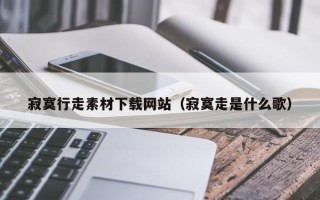 单县寂寞行走素材下载网站（寂寞走是什么歌）